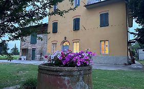 Paradiso Verde